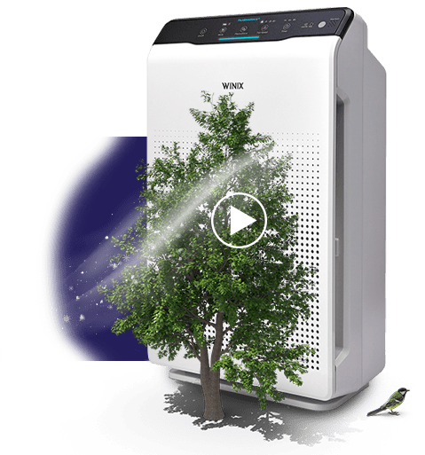 Luftreiniger-WINIX-mit-Plasmawave