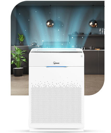 WINIX Purificateur d'Air