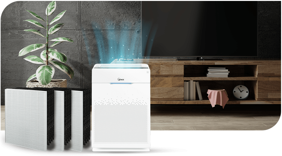 WINIX Air Purifier and Hepa Filter