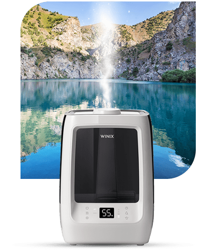 WINIX Luftbefeuchter