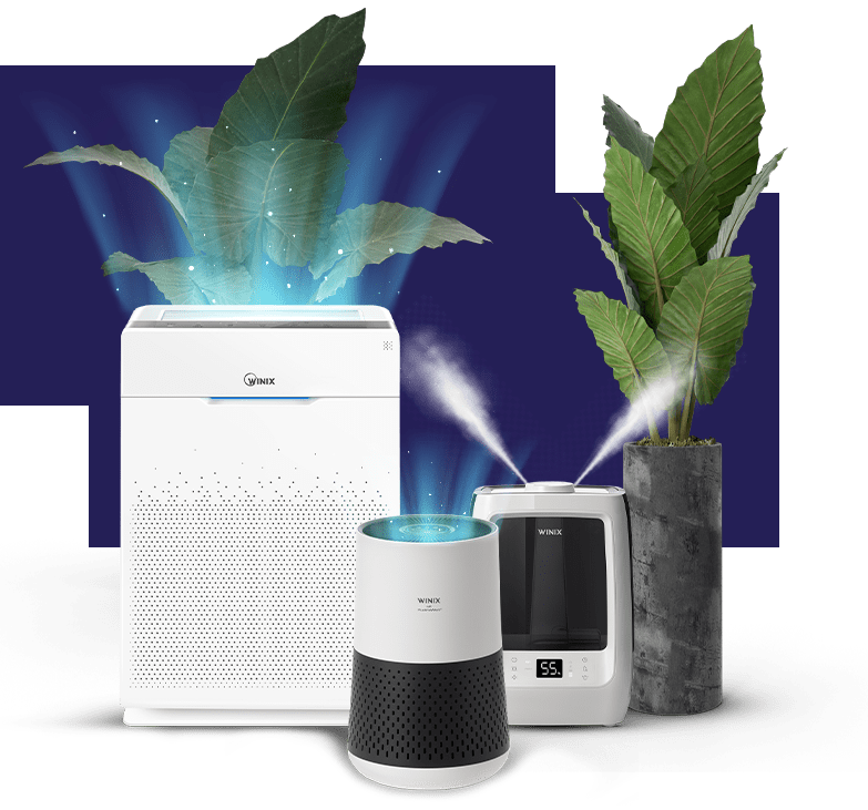 HEPA Filter Air Purifiers WINIX
