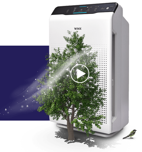 Luftreiniger WINIX mit Plasmawave